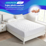 Quilted Mattress Protectors