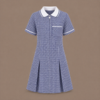 Girls Gingham Check Pleated Dress | 7 Colours