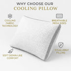 Cooling Pillow | 48CM × 74CM