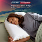 Goose Feather V Shaped Pillow | 75CM x 40CM x 36CM