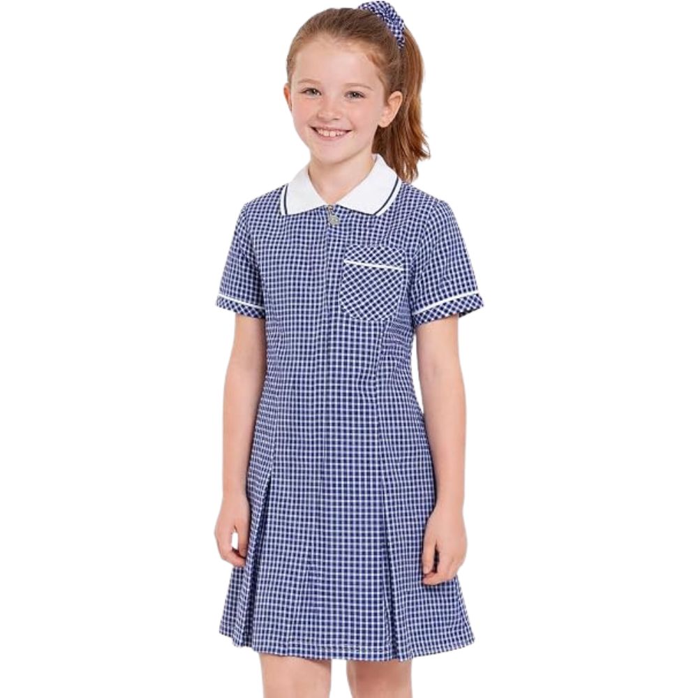 Pack of 2 Girls Gingham Check Pleated Dress | 7 Colours