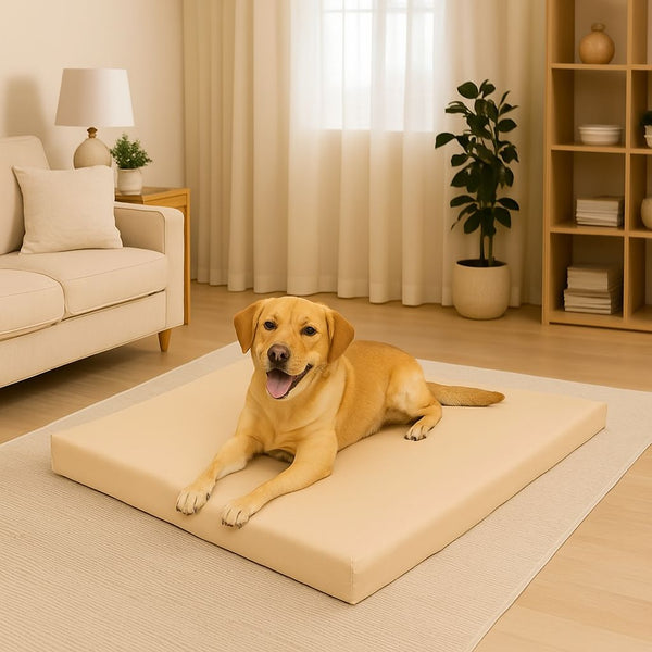 Large Waterproof Pet Mats | 6 Colours